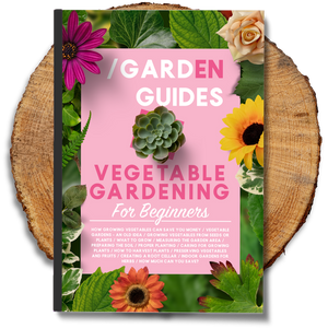 Vegetable Gardening For Beginners