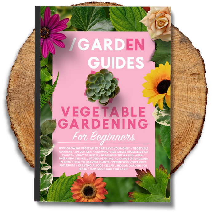 Vegetable Gardening For Beginners